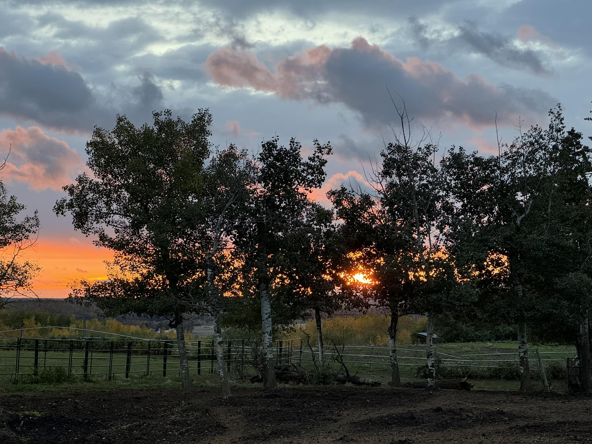 Riverview Stables
