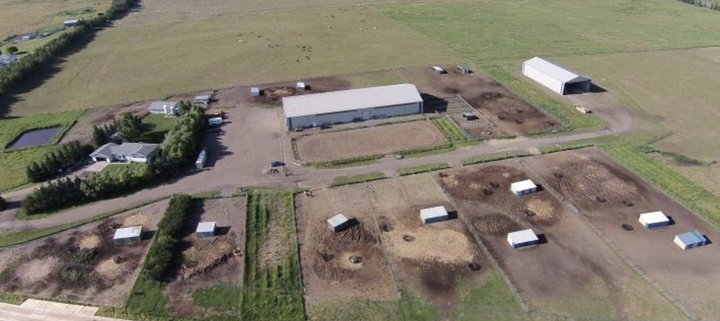 Paints-Plus Equine Center