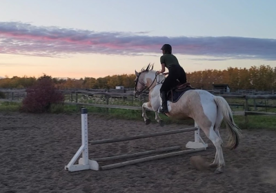 Screenshot-2024-10-25-120323