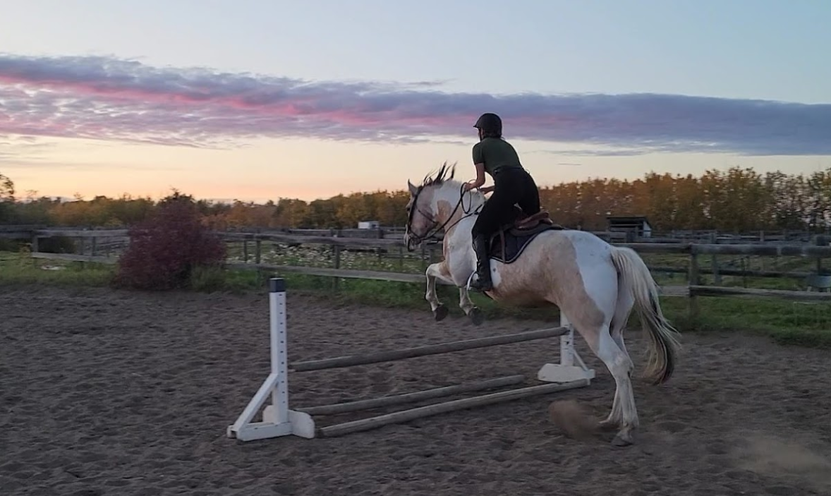 Trendsetting Stables