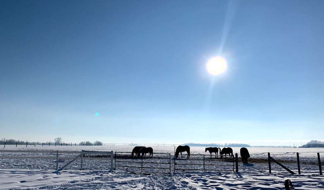 Finnegan Farms Inc.