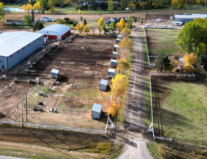 Lethbridge Therapeutic Riding Association
