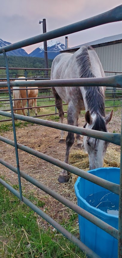 Eastwind Horse Transport