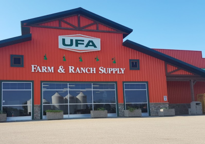 Screenshot-2024-11-13-121223