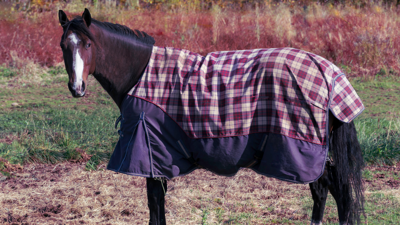 Tudor Tack Shoppe – Blanket Wash & Repair