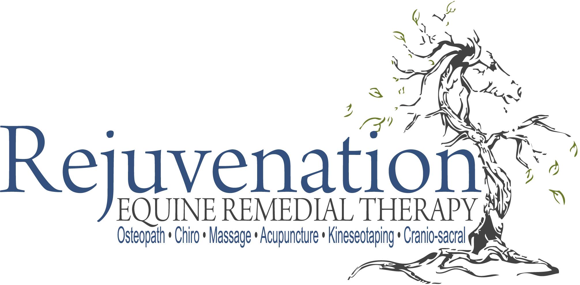 Rejuvenation Equine Remedial Therapy